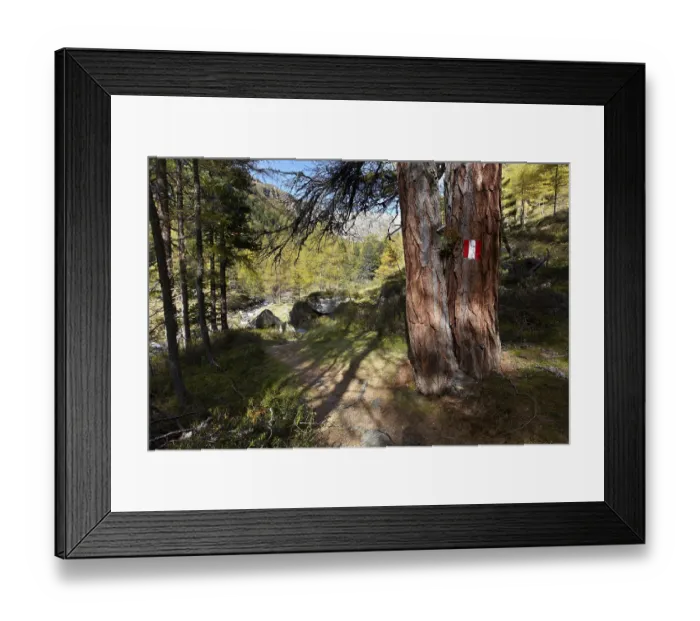 Framed Print : Hiking trail, Grosse Zirknitz, Hohe Tauern National Park