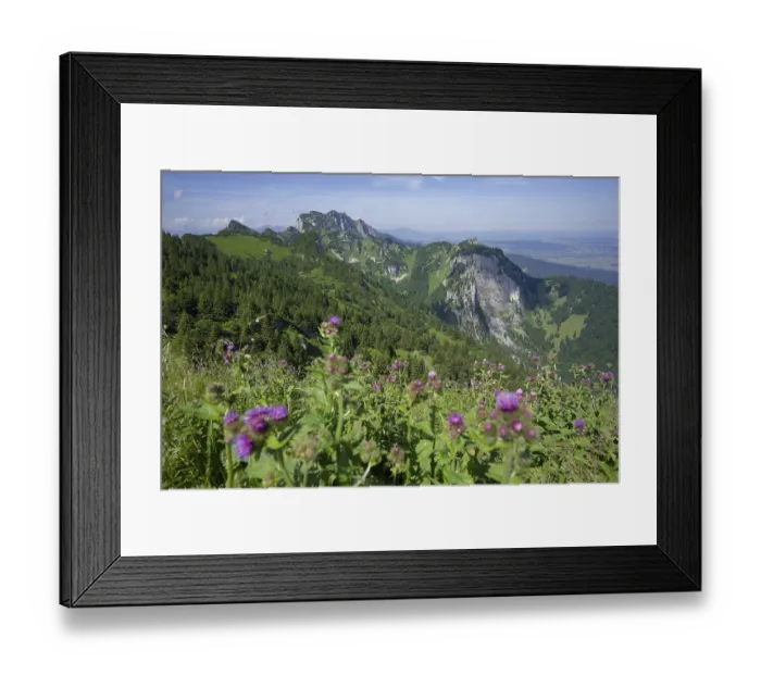 Framed Print : View from the Vorderer Kirchstein to the Achselkoepfe and the legendary Benediktenwand Framed Print : View from the Vorderer Kirchstein to the Achselkoepfe and the legendary Benediktenwand