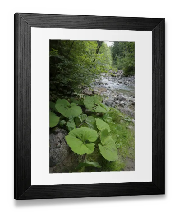 Framed Print : The wild and romantic Hirschbach Valley near Lenggries