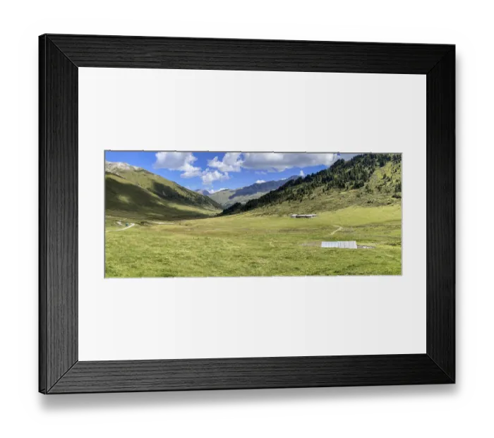 Framed Print : God da Tamangur, highest contiguous Swiss stone pine forest in Europe Framed Print : God da Tamangur, highest contiguous Swiss stone pine forest in Europe