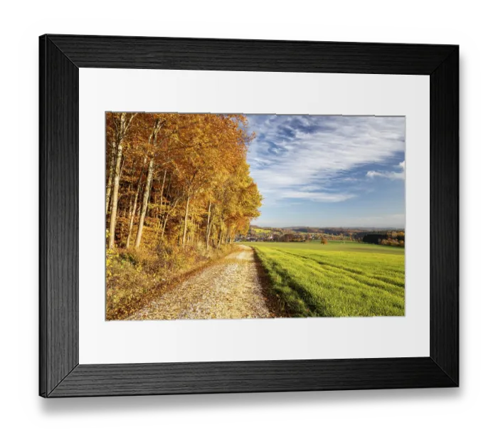 Framed Print : Colourful autumn colours in the forest near Liggeringen