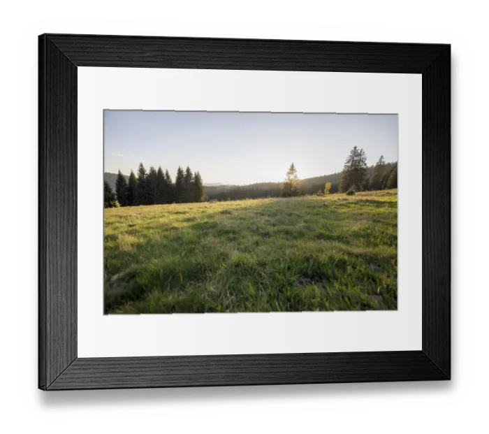 Framed Print : Meadow in the forest at sunrise in Todtnauberg