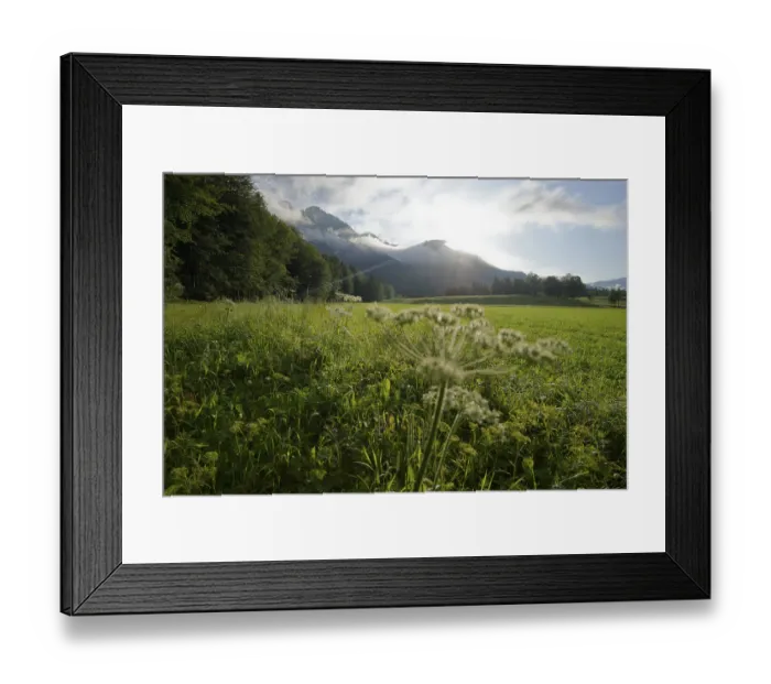 Framed Print : Evening mood near Lenggries with a view of the Brauneck