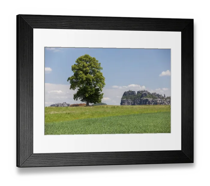 Framed Print : Landscape with a tree near the Schrammsteine rock group
