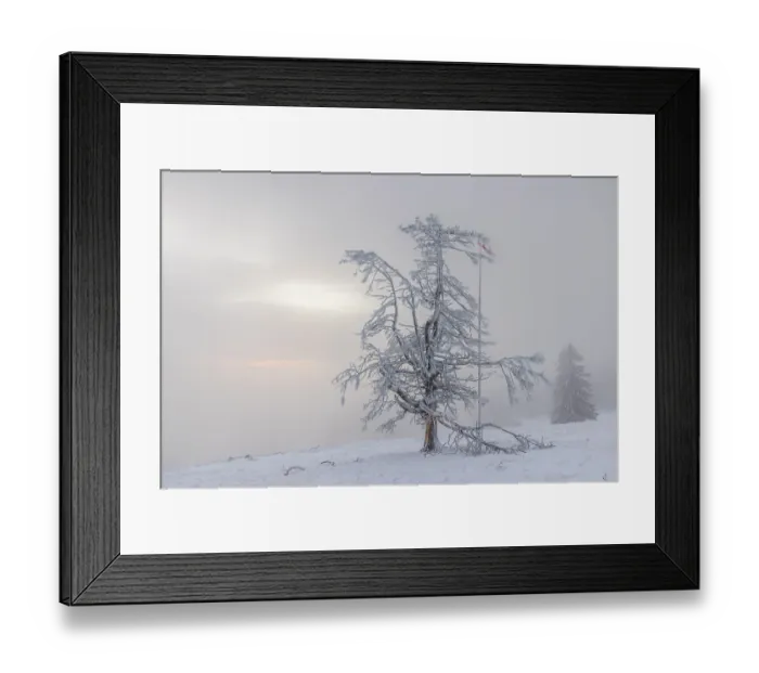 Framed Print : Winter sunset on the mountain with hoarfrost on the trees and fog