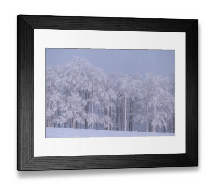 Framed Print : Winter beech forest with hoarfrost on the trees and fog on Mount Kandel