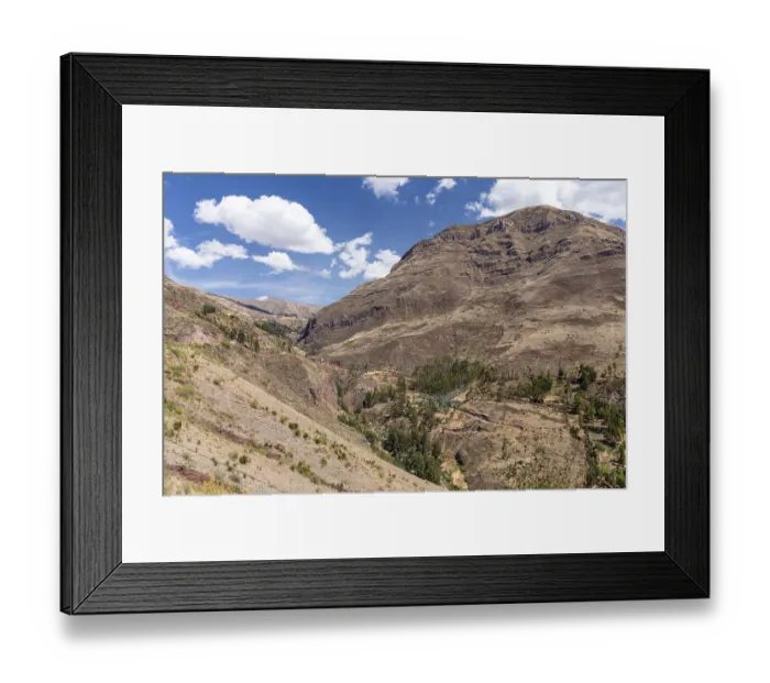 Framed Print : Reforestation project with native trees Framed Print : Reforestation project with native trees