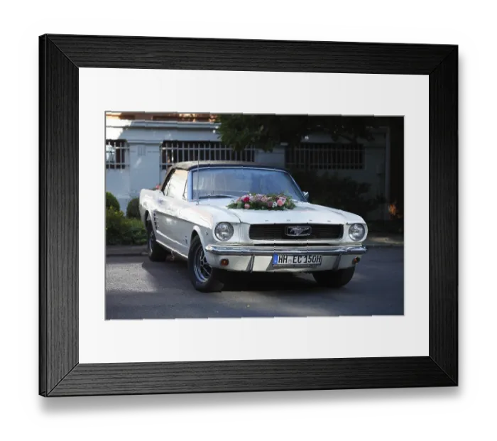 Framed Print : Ford Mustang, wedding car decorated with roses Framed Print : Ford Mustang, wedding car decorated with roses