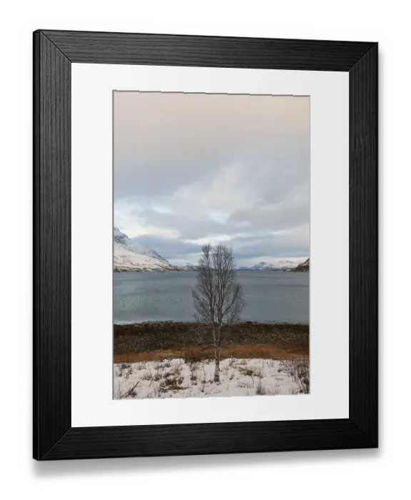 Framed Print : Landscape at Kaldfjorden, Troms, Norway, Europe Framed Print : Landscape at Kaldfjorden, Troms, Norway, Europe