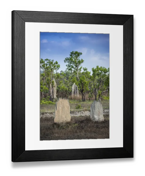 Framed Print : Construction of compass termites (Amitermes meridionalis)
