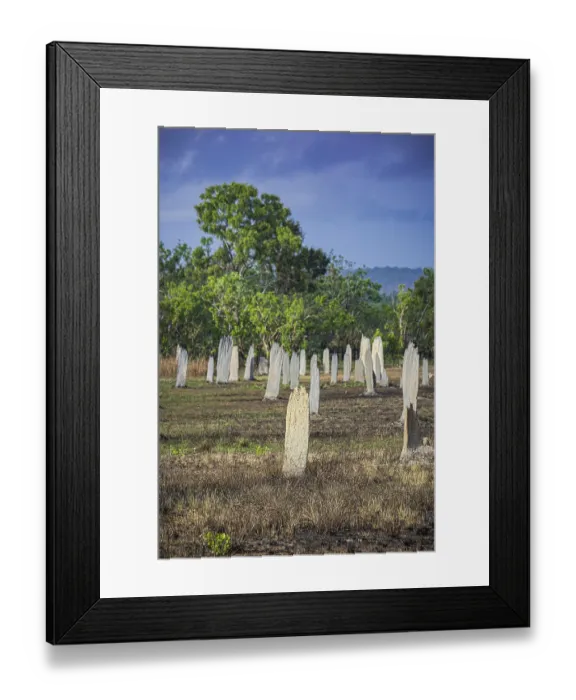 Framed Print : Construction of compass termites (Amitermes meridionalis) Framed Print : Construction of compass termites (Amitermes meridionalis)