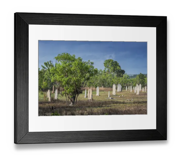 Framed Print : Construction of compass termites (Amitermes meridionalis) Framed Print : Construction of compass termites (Amitermes meridionalis)