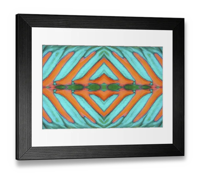 Framed Print : PHOTOMONTAGE, detail of dorsal fin Framed Print : PHOTOMONTAGE, detail of dorsal fin