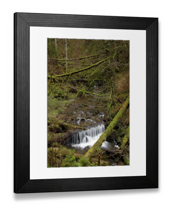 Framed Print : Old wood in the Lotenbachklamm gorge near the Wutachschlucht gorge Framed Print : Old wood in the Lotenbachklamm gorge near the Wutachschlucht gorge