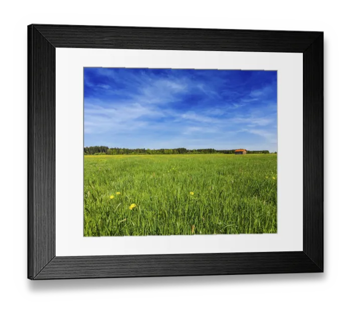 Framed Print : Summer meadow with blu sky Bavaria Framed Print : Summer meadow with blu sky Bavaria