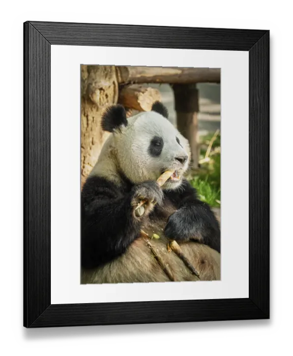 Framed Print : Chinese tourist symbol and attraction