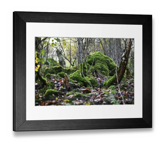 Framed Print : Autumn slowly begins to take over Framed Print : Autumn slowly begins to take over
