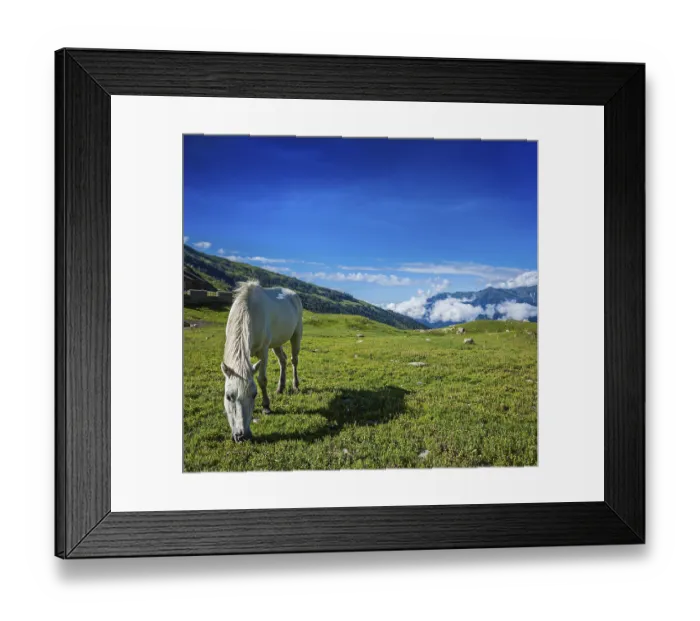 Framed Print : Serene landscape background, horse grazing on alpine meadow in Himalayas mountains Framed Print : Serene landscape background, horse grazing on alpine meadow in Himalayas mountains