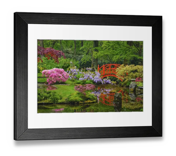 Framed Print : Small bridge in Japanese garden