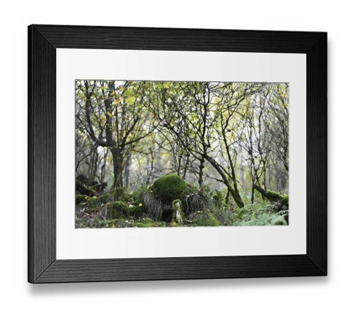 Framed Print : Autumn slowly begins to take over Framed Print : Autumn slowly begins to take over