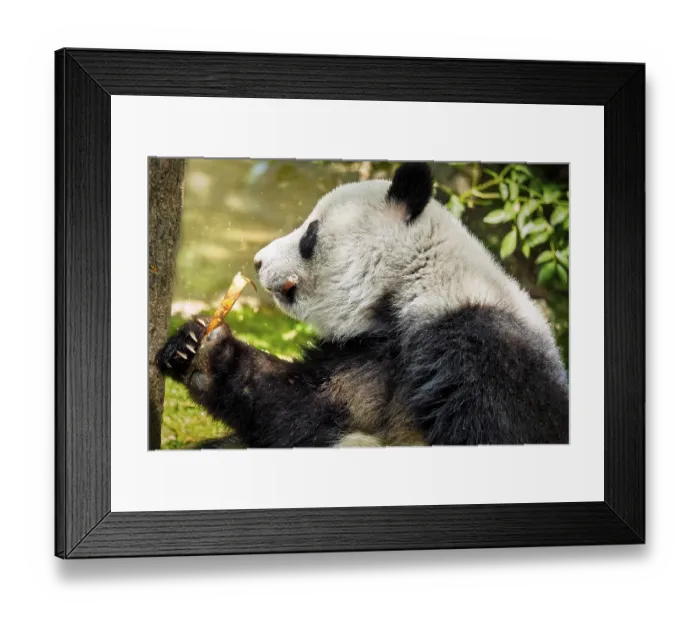 Framed Print : Chinese tourist symbol and attraction