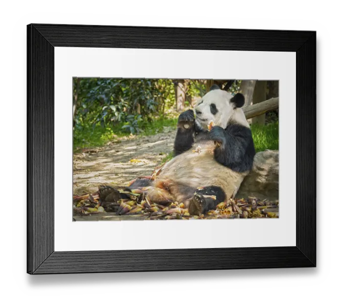 Framed Print : Chinese tourist symbol and attraction Framed Print : Chinese tourist symbol and attraction