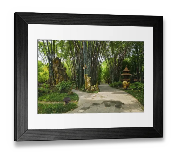 Framed Print : Path in bamboo forest brove in Wangjiang Pavilion (Wangjiang Tower) Wangjianglou Park