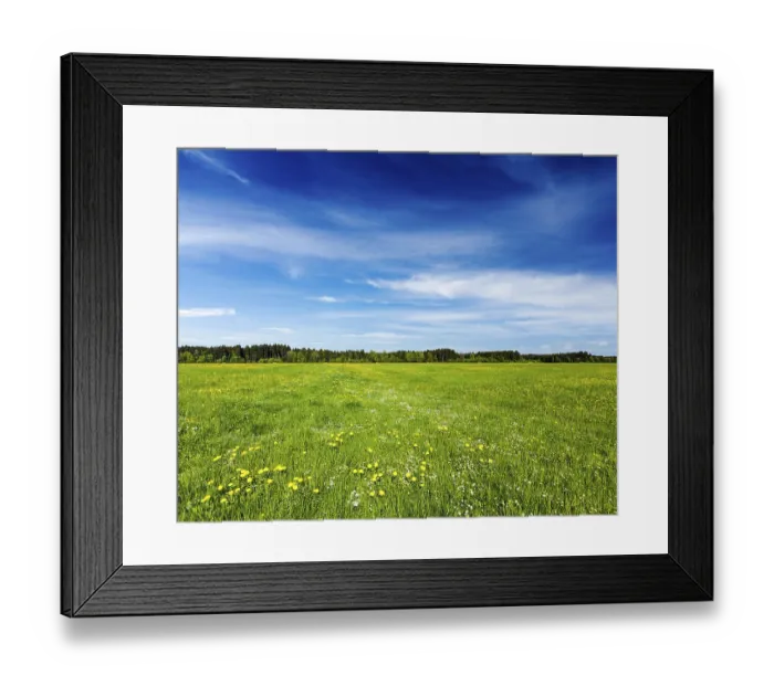 Framed Print : Summer meadow. Bavaria, Germany, Europe Framed Print : Summer meadow. Bavaria, Germany, Europe