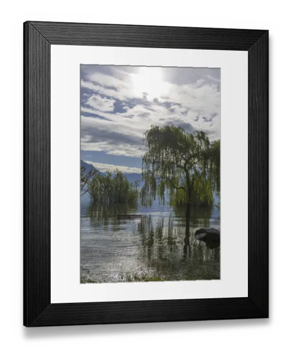 Framed Print : Bench and Tree on a Flooding Alpine Lake Maggiore with Mountain in Ticino