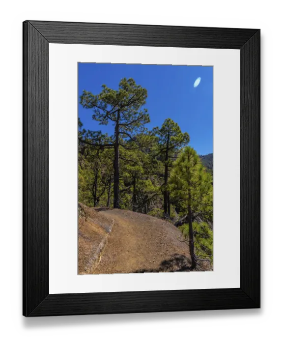 Framed Print : Path between trees on the trek to the top of La Cumbrecita next to the mountains of the Caldera de Taburiente