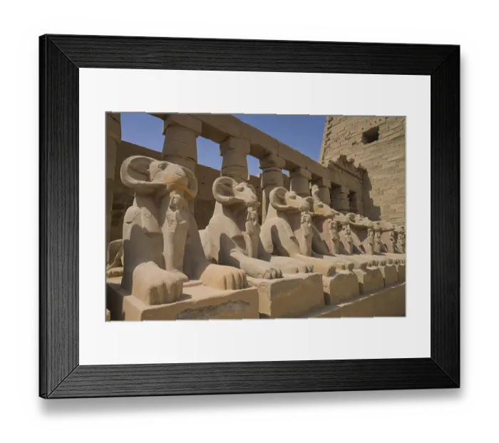 Framed Print : Aries Alley, First Forecourt, Karnak Temple Framed Print : Aries Alley, First Forecourt, Karnak Temple