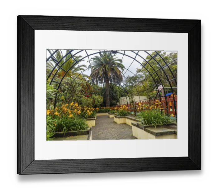 Framed Print : Beautiful path in a botanical garden Framed Print : Beautiful path in a botanical garden