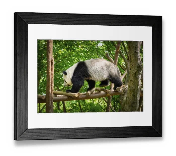 Framed Print : Chinese tourist symbol and attraction