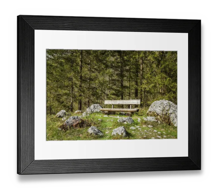 Framed Print : Lonely bench in forest, Germany, Europe