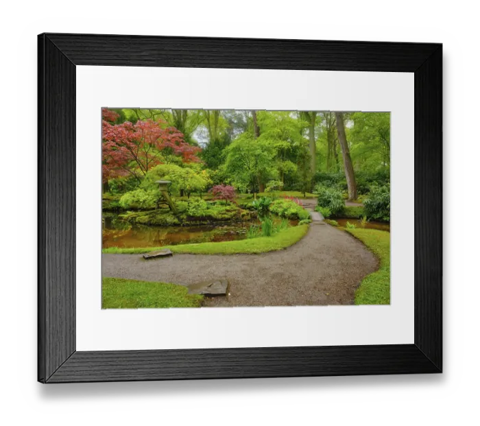 Framed Print : Little Japanese garden after rain