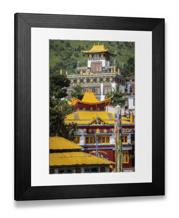 Framed Print : Buddhist temples in Rewalsar, Himachal Pradesh Framed Print : Buddhist temples in Rewalsar, Himachal Pradesh