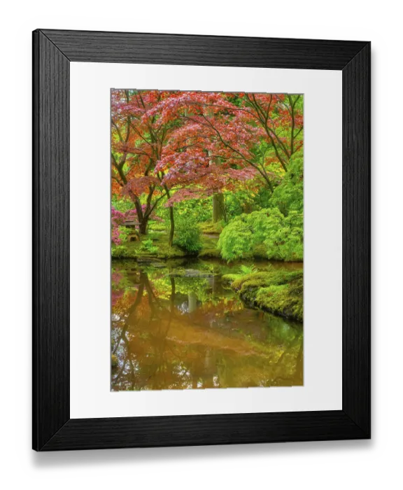 Framed Print : Little Japanese garden after rain Framed Print : Little Japanese garden after rain