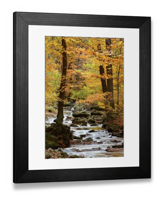 Framed Print : Bach with autumn leaves, Ilse, in the Ilse valley