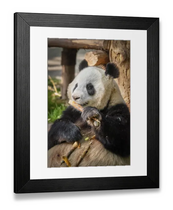 Framed Print : Chinese tourist symbol and attraction Framed Print : Chinese tourist symbol and attraction