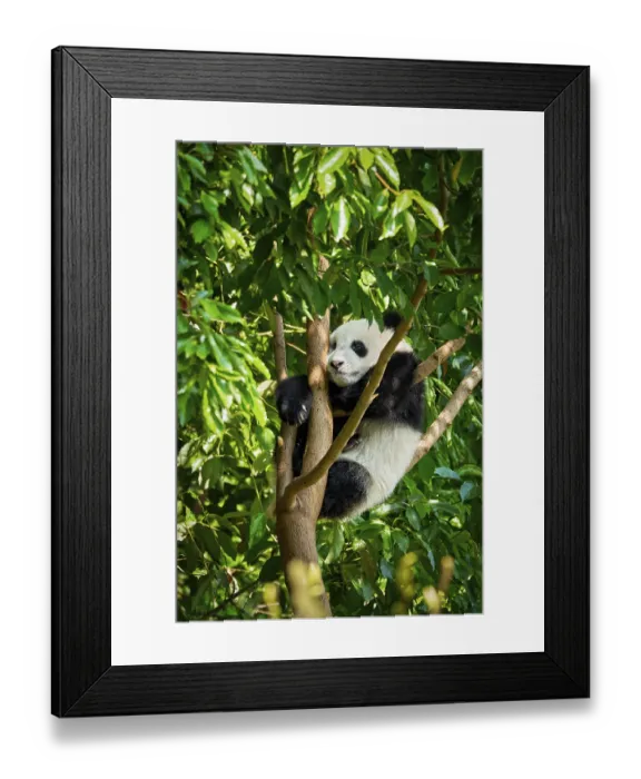 Framed Print : Chinese tourist symbol and attraction