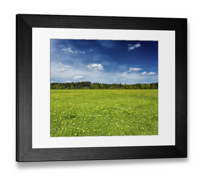 Framed Print : Summer meadow with blue sky, Bavaria