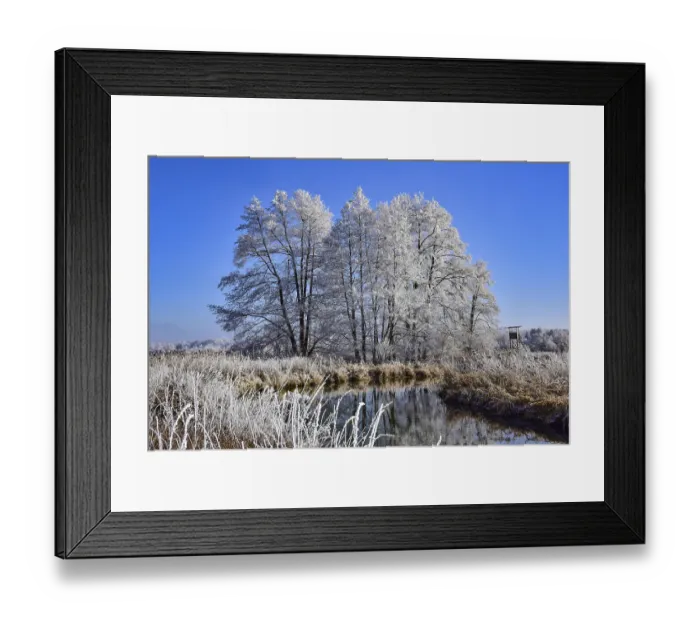Framed Print : Winter landscape in hoarfrost with trees and river in the Augsburg Western Forests nature park Park