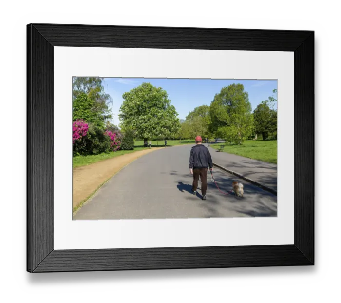 Framed Print : Sunday morning man walking dog Framed Print : Sunday morning man walking dog