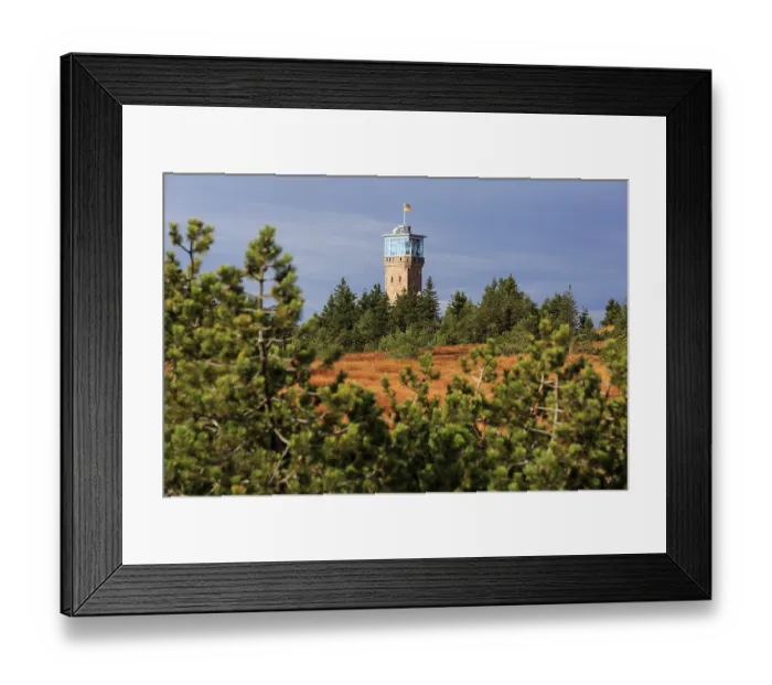 Framed Print : Black Forest National Park, High Moor