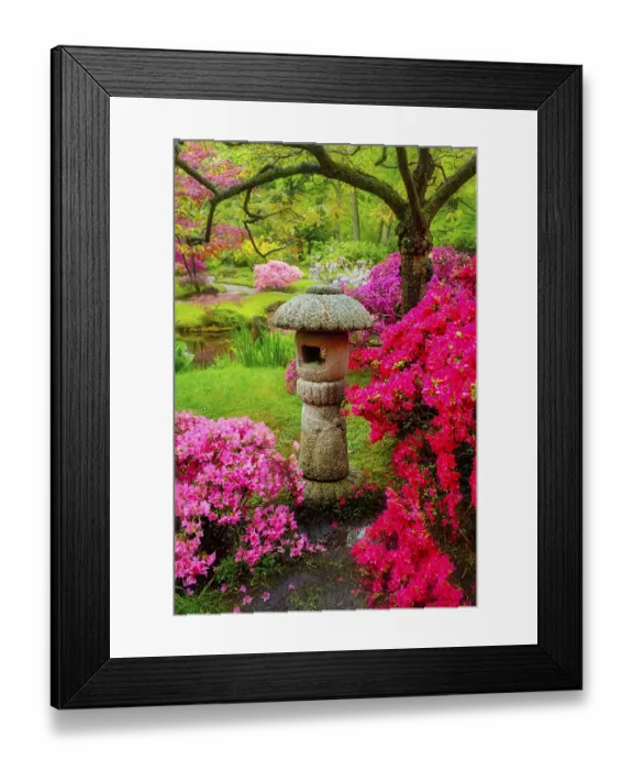 Framed Print : Stone lantern in Japanese garden with blooming flowers