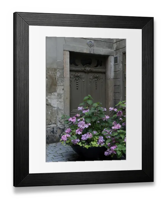 Framed Print : Hydrangea in shell in front of old house Framed Print : Hydrangea in shell in front of old house