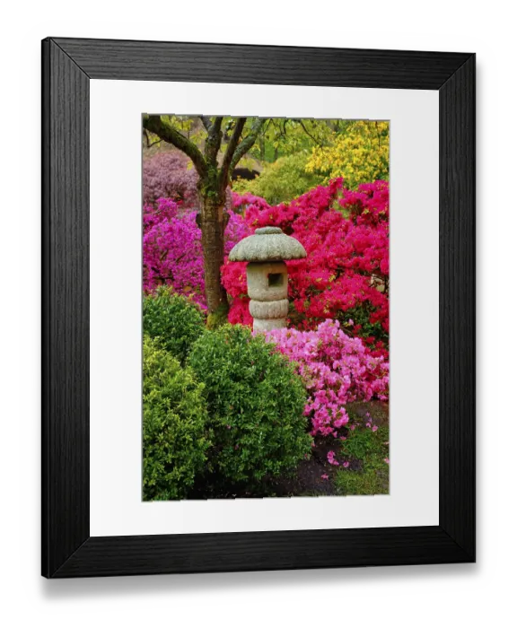 Framed Print : Stone lantern in Japanese garden with blooming flowers Framed Print : Stone lantern in Japanese garden with blooming flowers