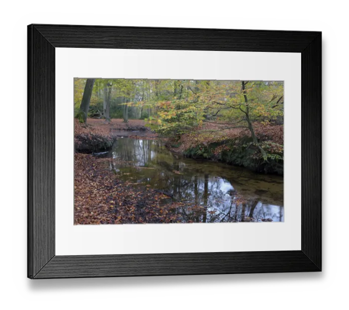 Framed Print : Rotbach, near-natural stream, beech forest November Framed Print : Rotbach, near-natural stream, beech forest November