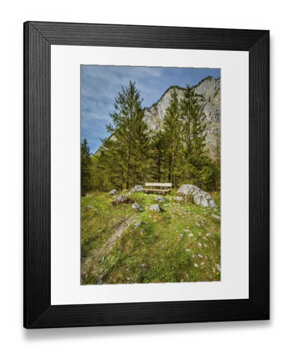 Framed Print : Lonely bench in forest, Germany, Europe