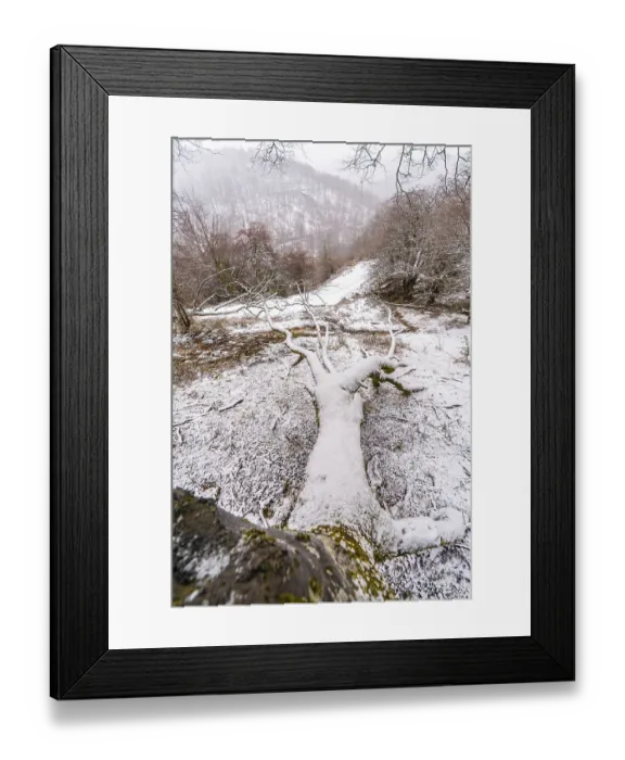 Framed Print : Beech forest full of snow in the forest of Mount Aizkorri in Gipuzkoa